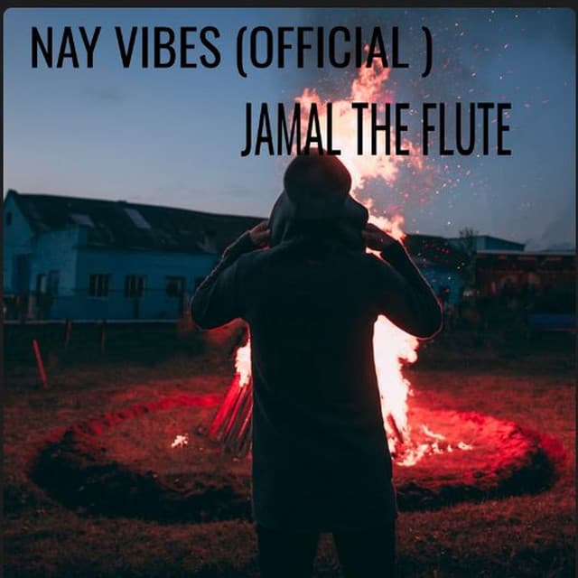 NAY VIBES (OFFICIAL) artwork