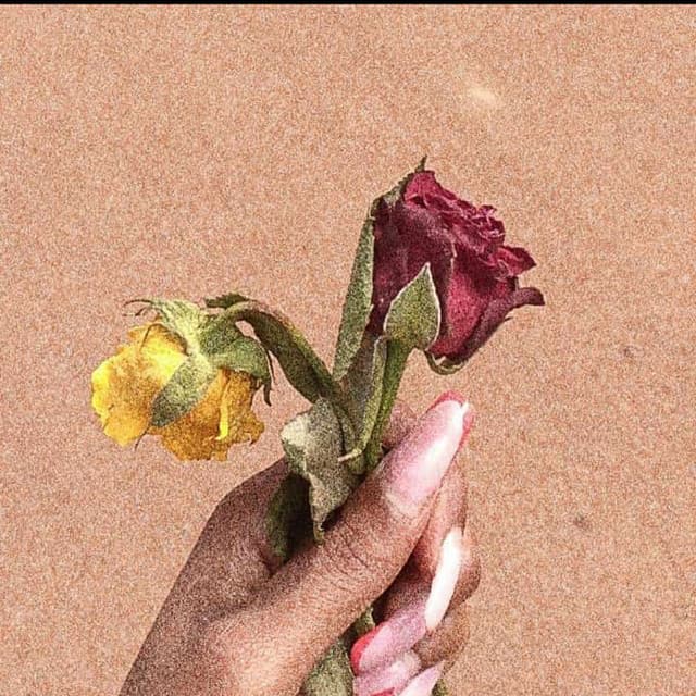 254 artwork