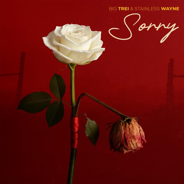 Sorry artwork